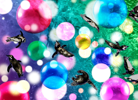 すみだ水族館 『Penguin Candy』