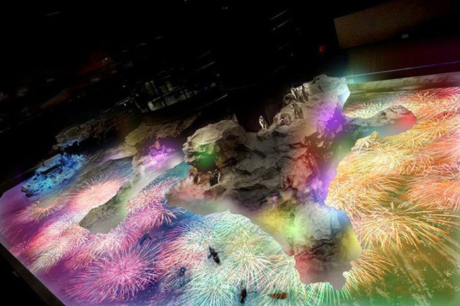 すみだ水族館 『ペンギン花火』