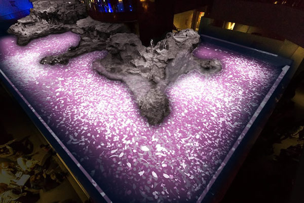 すみだ水族館 『ペンギンピクニック』