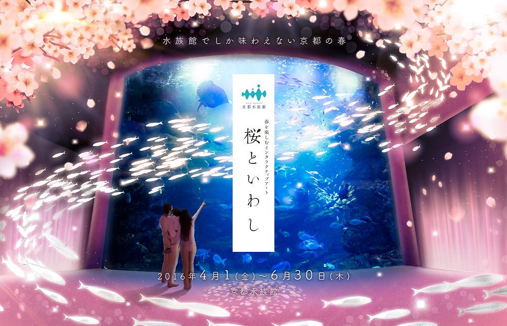 京都水族館 『桜といわし』