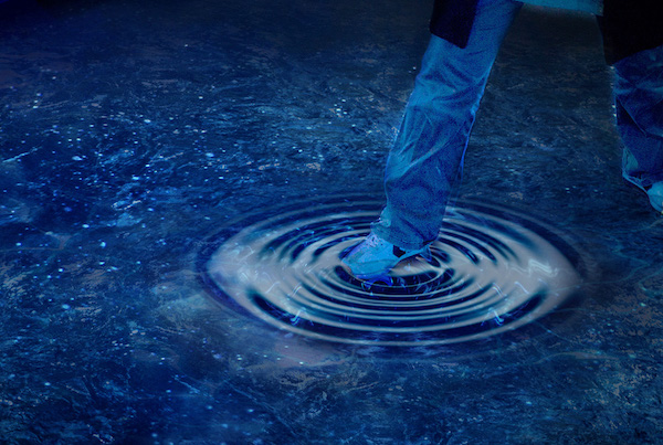 京都水族館『ぬめぬめワールド』